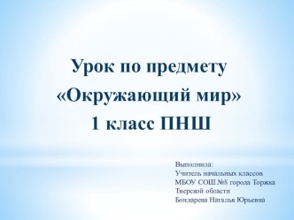 Презентация по окружающему миру на тему Зелёная аптека (1 класс ПНШ)