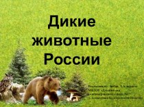 Дикие животные России. Презентация о жизни диких животных.