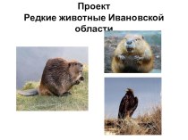 Проект по окружающему миру Редкие животные Ивановской области