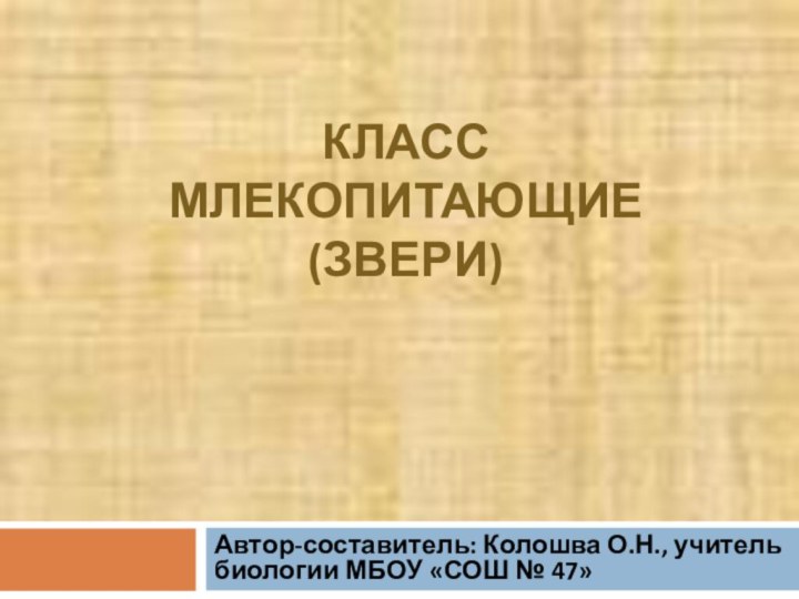 КЛАСС МЛЕКОПИТАЮЩИЕ (ЗВЕРИ)Автор-составитель: Колошва О.Н., учитель биологии МБОУ «СОШ № 47»