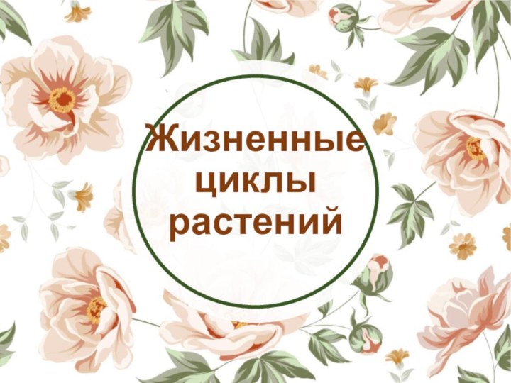 Жизненные циклы растений