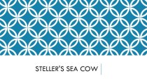 Презентация по английскому языку на тему Steller's sea cow (9 класс)