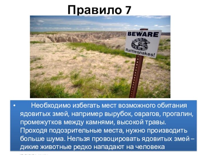 Правило 7    Необходимо избегать мест возможного обитания ядовитых змей, например