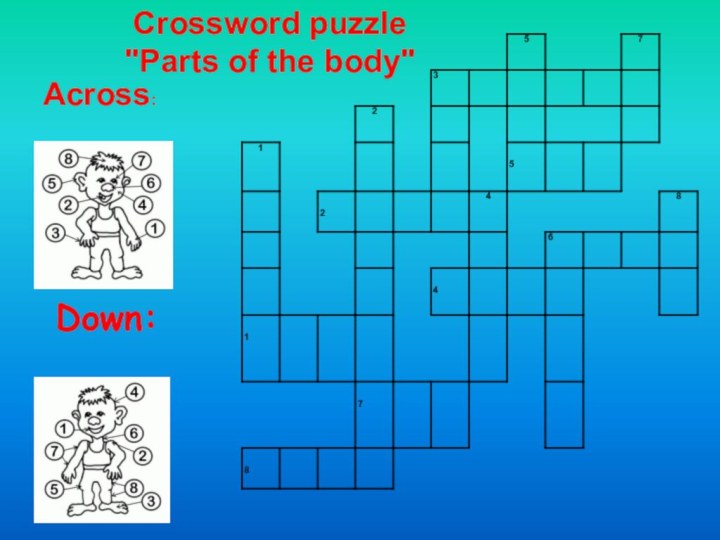 Across:        Down: Crossword puzzle 