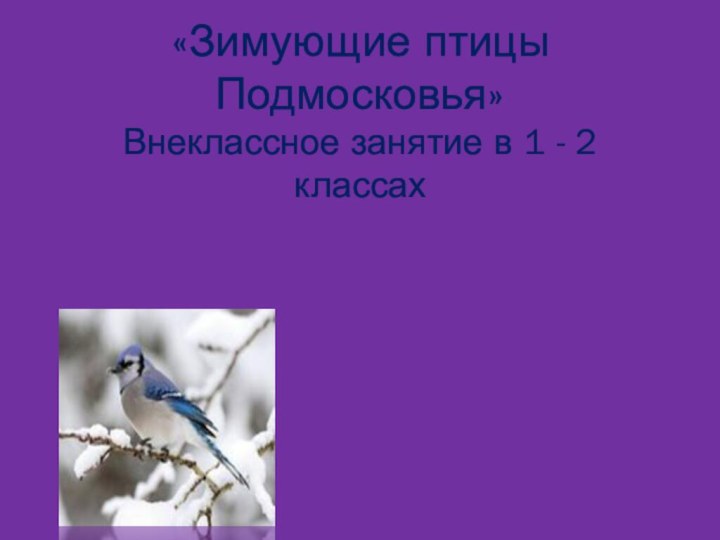 «Зимующие птицы  Подмосковья» Внеклассное занятие в 1 - 2 классах Составила: