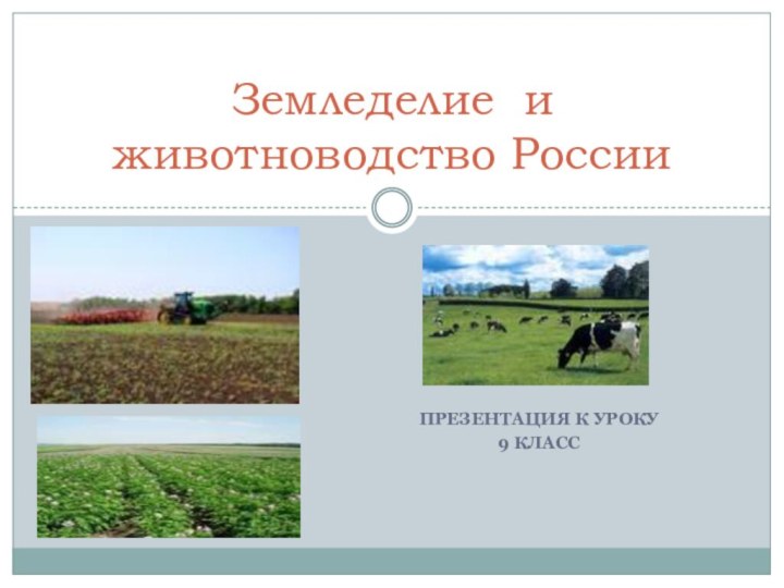 Презентация к уроку9 классЗемледелие и животноводство России