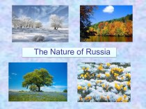 Презентация по английскому языку на тему The nature of Russia