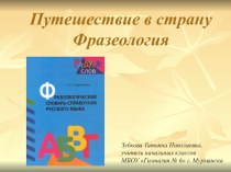 Презентация к уроку русского языка в 4 классе по теме Фразеологизмы