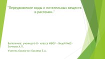 Презентация проекта по биологии  Передвижение воды и минеральных веществ в растении