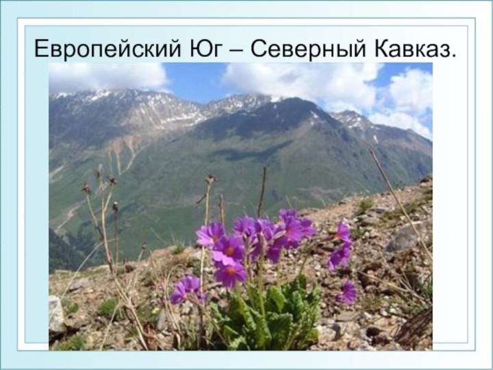 Европейский Юг – Северный Кавказ.