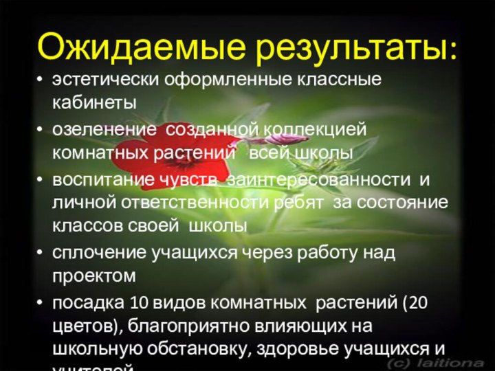 Ожидаемые результаты:эстетически оформленные классные кабинетыозеленение  созданной коллекцией комнатных растений  всей школывоспитание чувств