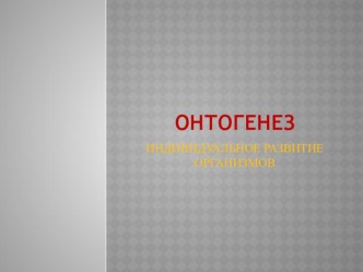 Презентация по биологии. Онтогенез