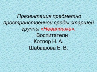 Презентация РППС в группе