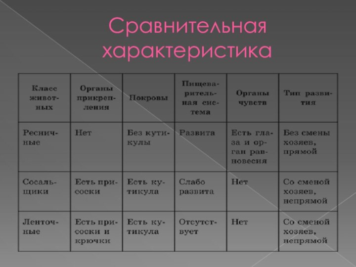 Сравнительная характеристика