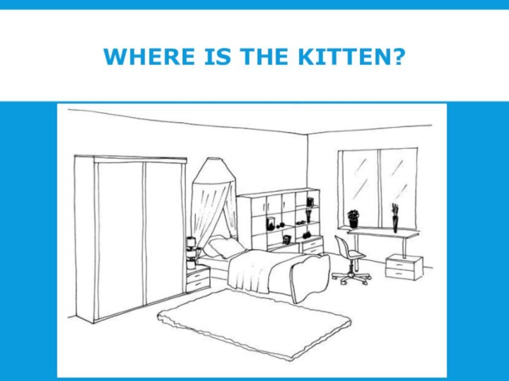 Where is the kitten?