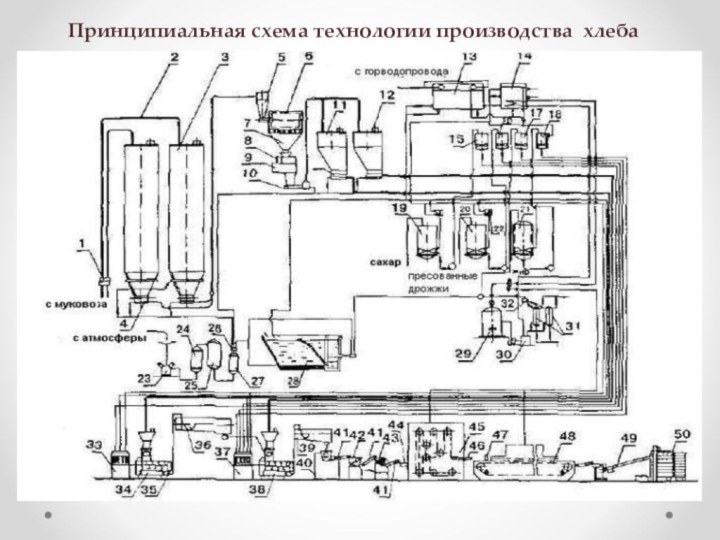 Принципиальная схема технологии производства хлеба