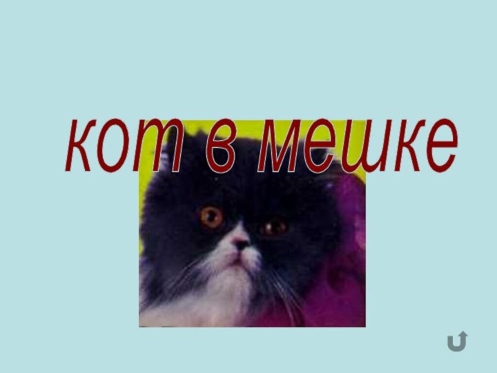 кот в мешке