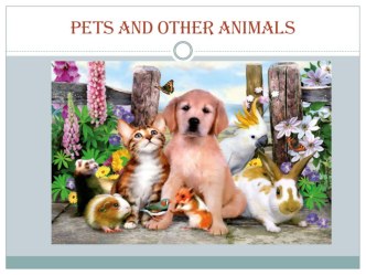 Презентация по английскому языку на тему Животные (3 класс)