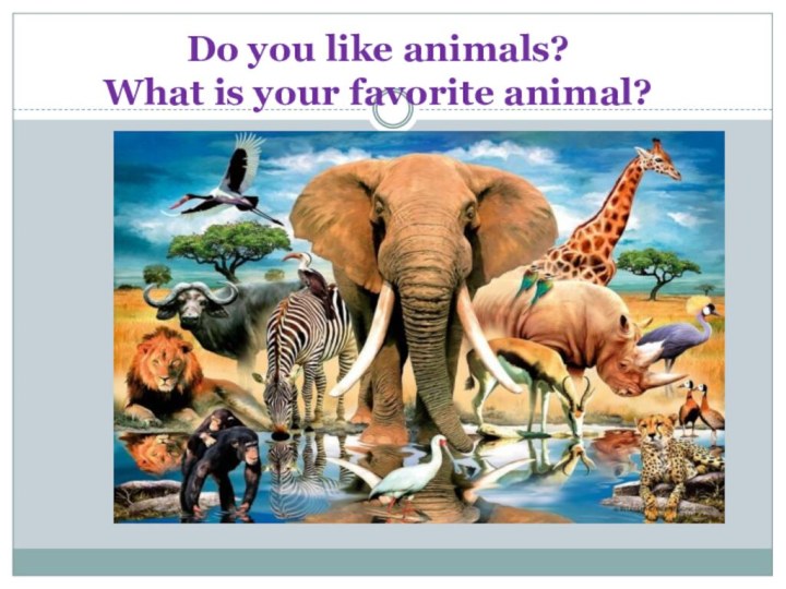 Do you like animals? What is your favorite animal?
