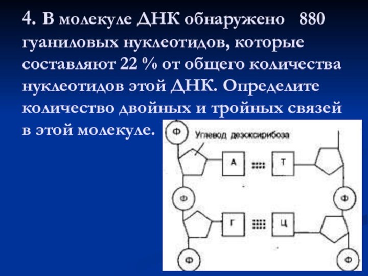 4. В молекуле ДНК обнаружено  880 гуаниловых нуклеотидов, которые составляют 22