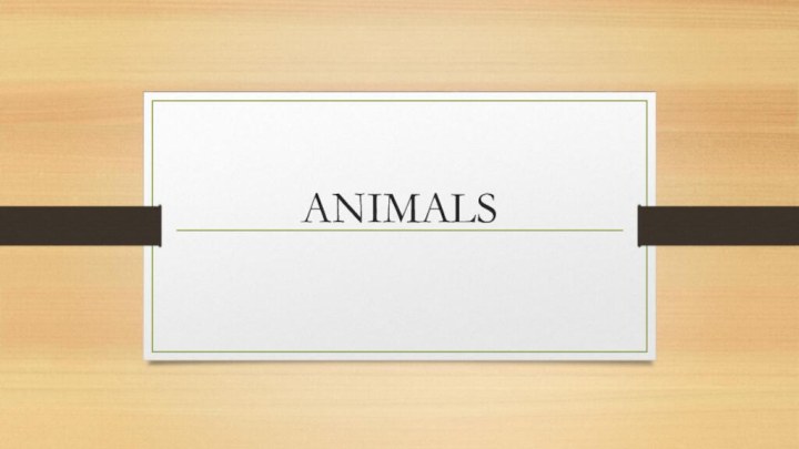 ANIMALS