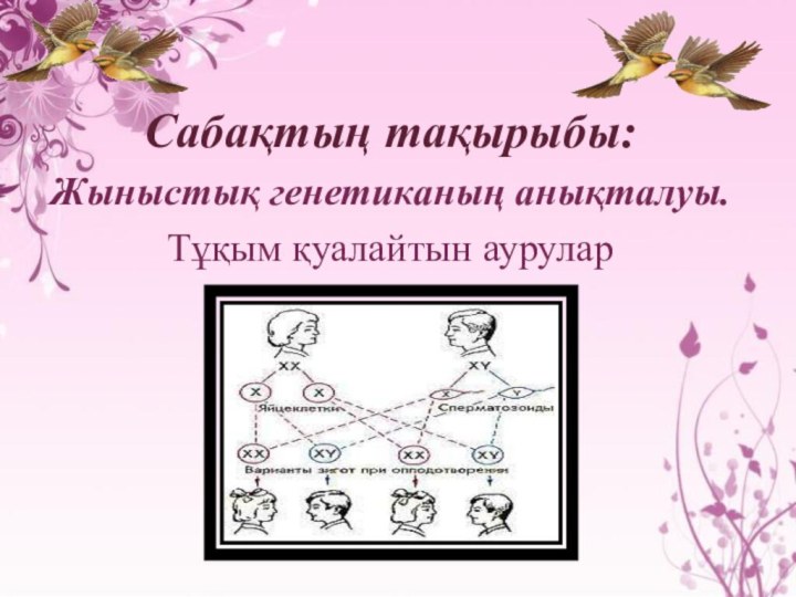 Сабақтың тақырыбы:Жыныстық генетиканың анықталуы.Тұқым қуалайтын аурулар