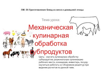 Презентация к уроку Механическая кулинарная обработка субпродуктов  ПМ.05 Приготовление блюд из мяса и домашней птицы