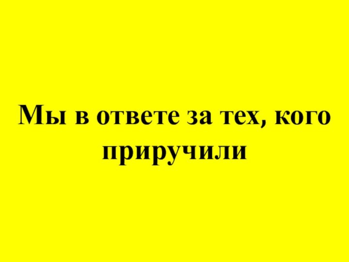 Мы в ответе за тех, кого приручили