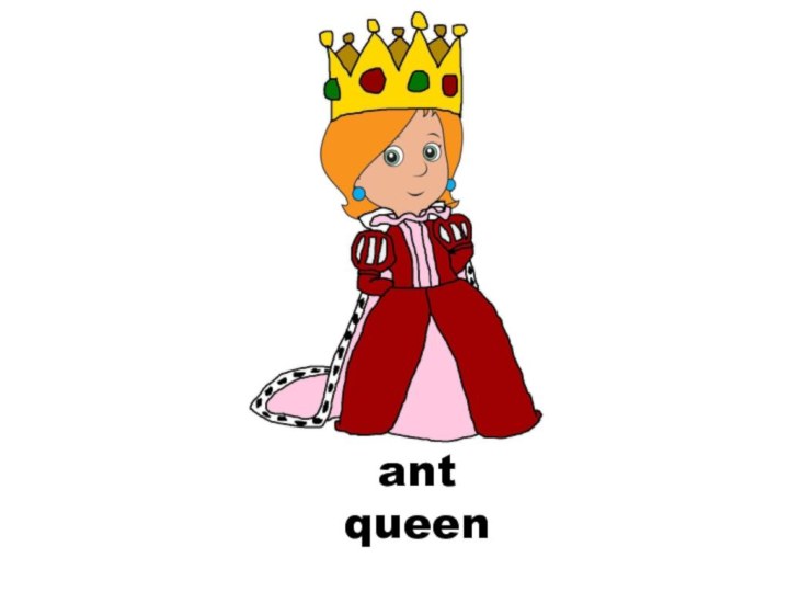 queenant