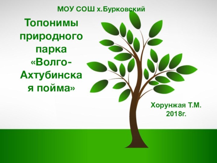 Топонимы природного парка «Волго-Ахтубинская пойма» МОУ СОШ х.БурковскийХорунжая Т.М.2018г.