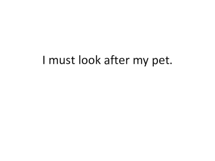 I must look after my pet.