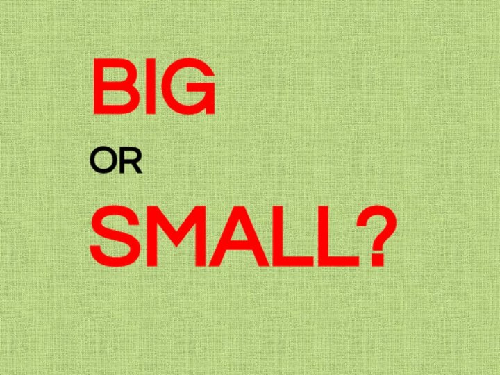 BIG OR SMALL?