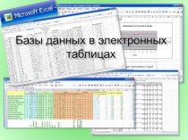 Презентация по информатике на тему Базы данных в электронных таблицах(8 класс)