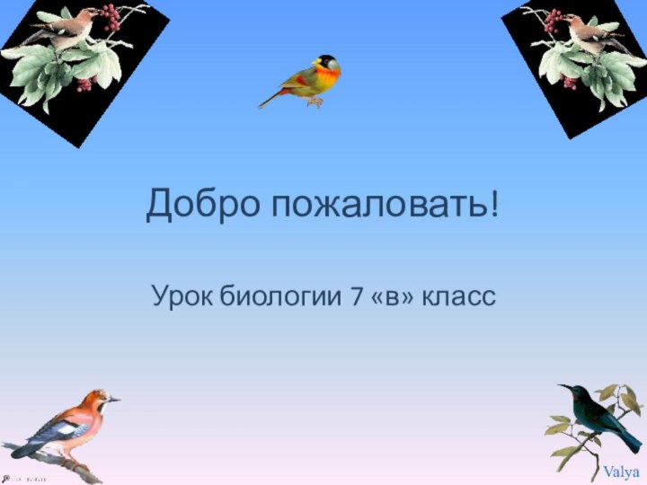 Добро пожаловать!Урок биологии 7 «в» класс