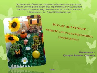 Презентация Во саду ли, в огороде.