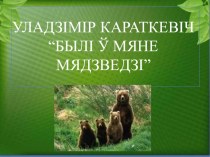 Прэзентацыя па беларускай літаратуры на тэму Уладзімір Караткевіч  Былі ў мяне мядзведзі