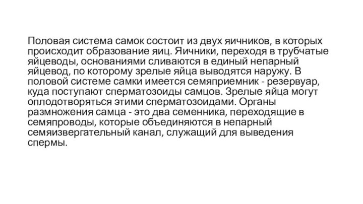 Половая система самок состоит из двух яичников, в которых происходит образование яиц.