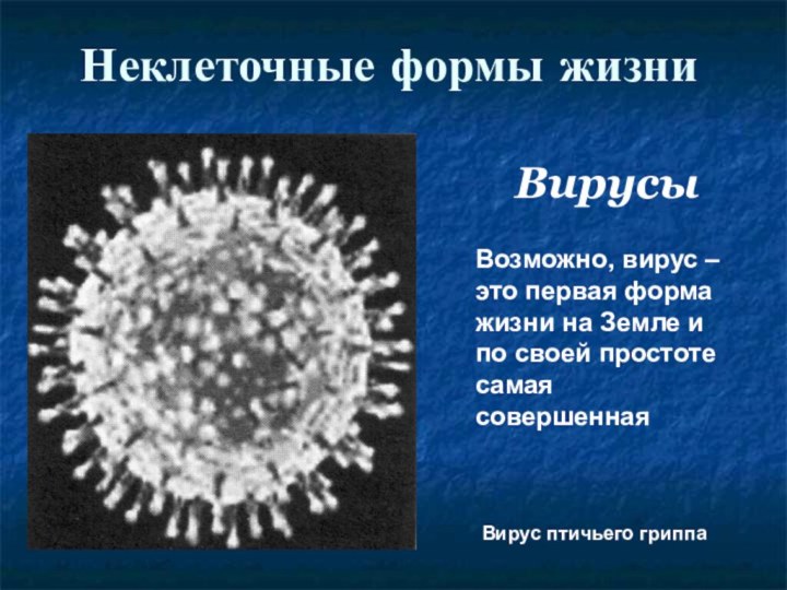 Неклеточные формы жизниВирусыВозможно, вирус – это первая форма жизни на Земле и