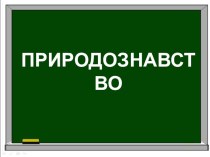 Презентація до конспекту уроку з природознавстваРізноманітність тварин у природі (1 клас)