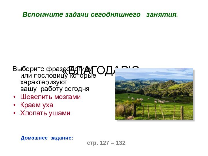 «БЛАГОДАРЮ» Выберите фразеологизм или пословицу которые характеризуют вашу  работу