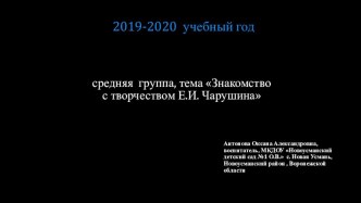 Презентация предметно- развивающей среды в ДОУ