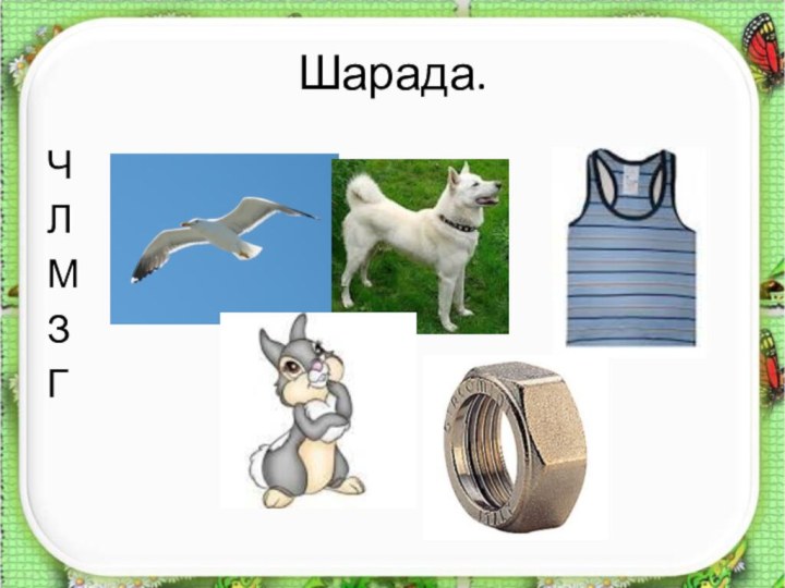 Шарада.ЧЛМЗГ