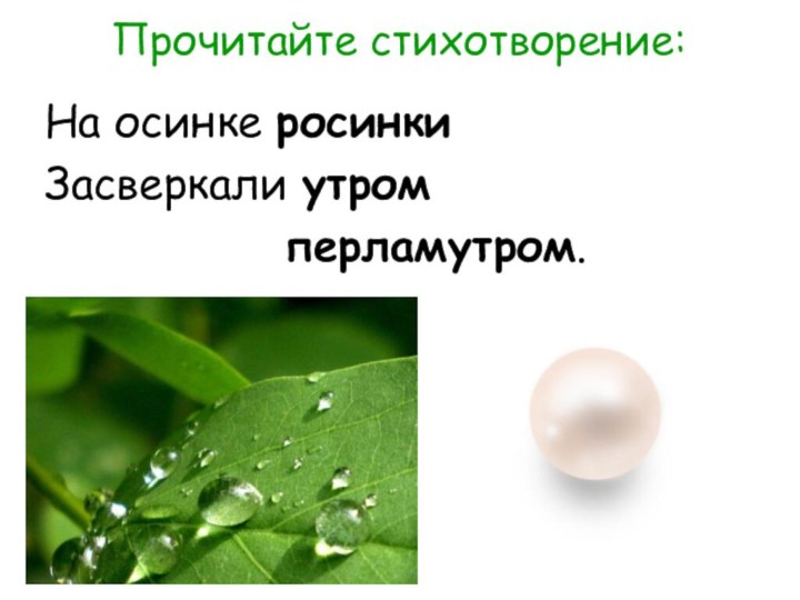 На осинке росинкиЗасверкали утром 						перламутром.Прочитайте стихотворение: