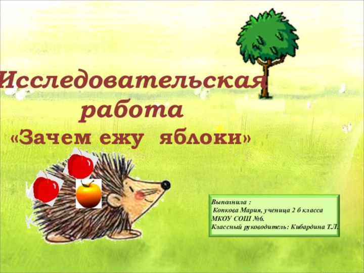 Исследовательская работа «Зачем ежу яблоки» Выполнила : Копкова Мария, ученица 2 б