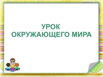 Презентация к уроку по окружающему миру Животные леса (2 класс)