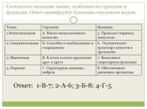 Презентация к уроку биологии Органические вещества - универсальный конструктор