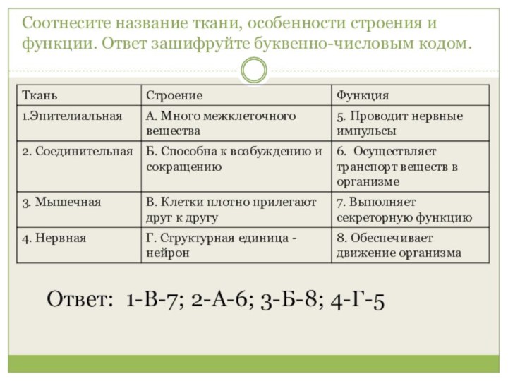 Соотнесите название ткани, особенности строения и функции. Ответ зашифруйте буквенно-числовым кодом.Ответ: 1-В-7; 2-А-6; 3-Б-8; 4-Г-5