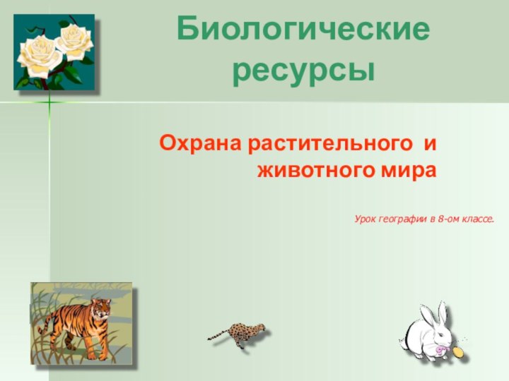 Биологические ресурсыОхрана растительного и животного мираУрок географии в 8-ом классе.