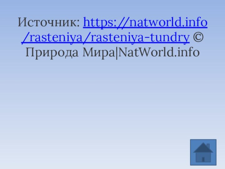 Источник: https://natworld.info/rasteniya/rasteniya-tundry © Природа Мира|NatWorld.info