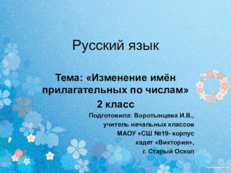 Презентация по русскому языку на тему Изменение имён прилагательных по числам (2 класс)